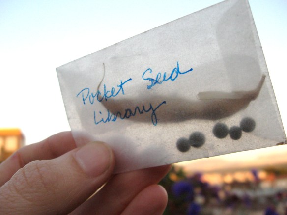 PocketSeedLibrary copy